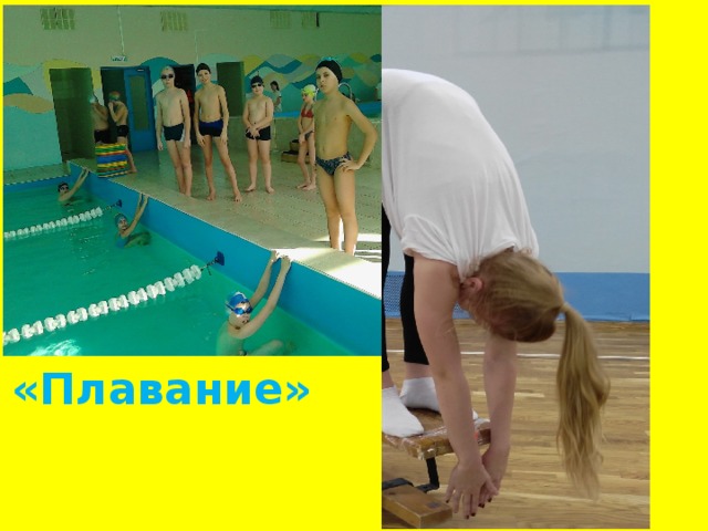   «Плавание»   «Гибкость» 