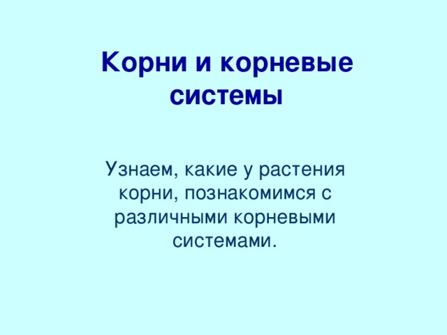 Корни и корневые системы Узнаем, какие у растения корни, познакомимся с различными корневыми системами. Пришла пора перейти к изучению строения самого растения. Начнем с корня. На этом уроке ты познакомишься с различными корневыми системами и научишься их различать. Для этого необходимо узнать, какие могут быть у растения корни. Сегодня ты поймешь, от чего зависит глубина расположения корней в почве.