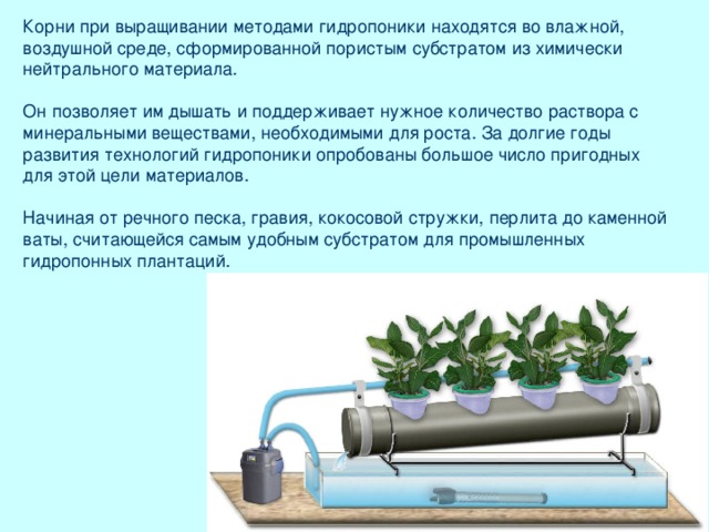 Корни при выращивании методами гидропоники находятся во влажной, воздушной среде, сформированной пористым субстратом из химически нейтрального материала.    Он позволяет им дышать и поддерживает нужное количество раствора с минеральными веществами, необходимыми для роста. За долгие годы развития технологий гидропоники опробованы большое число пригодных для этой цели материалов.   Начиная от речного песка, гравия, кокосовой стружки, перлита до каменной ваты, считающейся самым удобным субстратом для промышленных гидропонных плантаций.    Корни растений поглощают из почвы не только воду. Чтобы составить им 