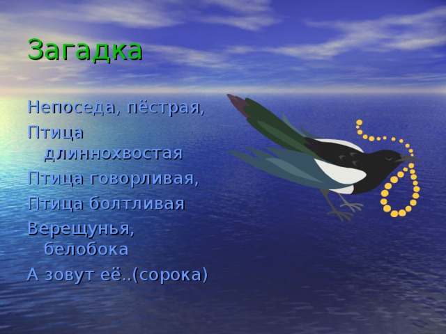 Загадка Непоседа, пёстрая, Птица длиннохвостая Птица говорливая, Птица болтливая Верещунья, белобока А зовут её..(сорока) 