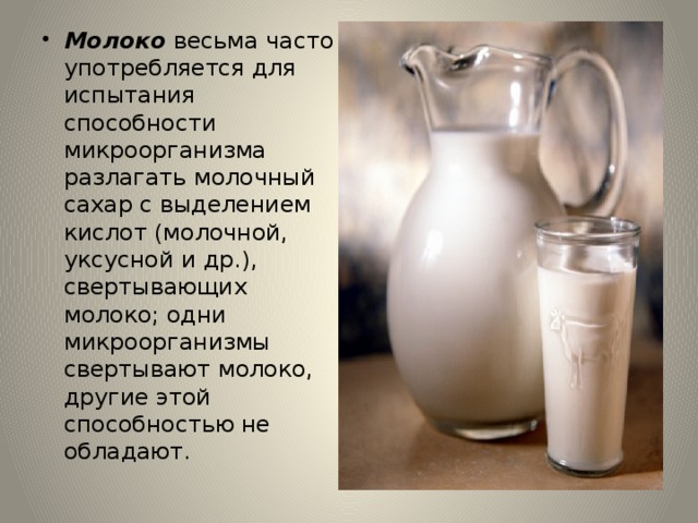 Молоко весьма часто употребляется для испытания способности микроорганизма разлагать молочный сахар с выделением кислот (молочной, уксусной и др.), свертывающих молоко; одни микроорганизмы свертывают молоко, другие этой способностью не обладают. 