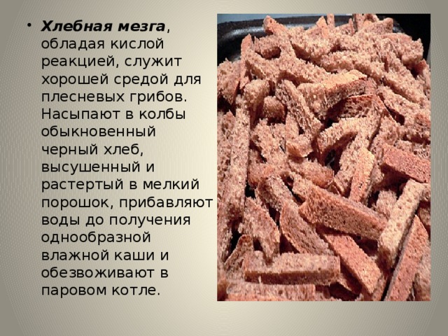 Хлебная мезга , обладая кислой реакцией, служит хорошей средой для плесневых грибов. Насыпают в колбы обыкновенный черный хлеб, высушенный и растертый в мелкий порошок, прибавляют воды до получения однообразной влажной каши и обезвоживают в паровом котле. 