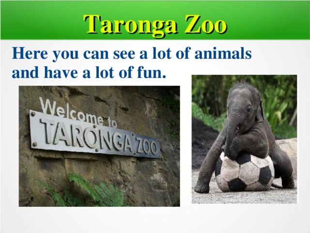 Taronga Zoo Here you can see a lot of animals and have a lot of fun.  