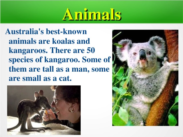 Animals  Australia's  best-known animals are koalas and kangaroos. There are 50 species of kangaroo. Some of them are tall as a man, some are small as a cat.  