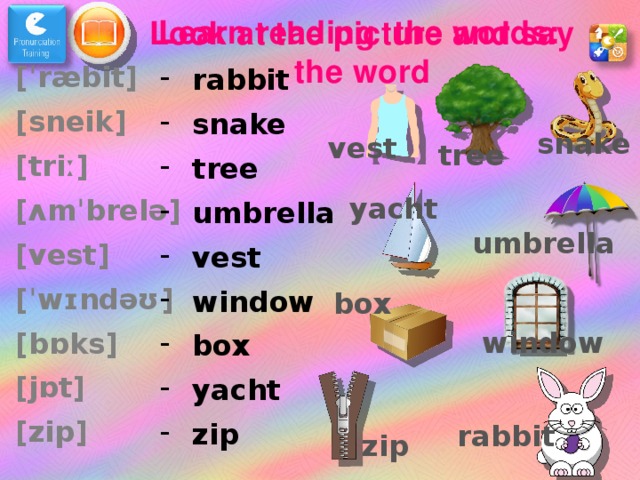 Learn reading the words: Look at the picture and say the word [ˈ r æbit] [ sneik ] [triː] [ʌmˈbrelə] [vest] [ˈwɪndəʊ] [bɒks] [jɒt] [zip] rabbit snake tree umbrella vest window box yacht zip snake vest tree yacht umbrella box window rabbit zip  