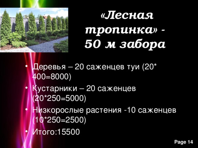 «Лесная тропинка» -  50 м забора Деревья – 20 саженцев туи (20* 400=8000) Кустарники – 20 саженцев (20*250=5000) Низкорослые растения -10 саженцев (10*250=2500) Итого:15500   