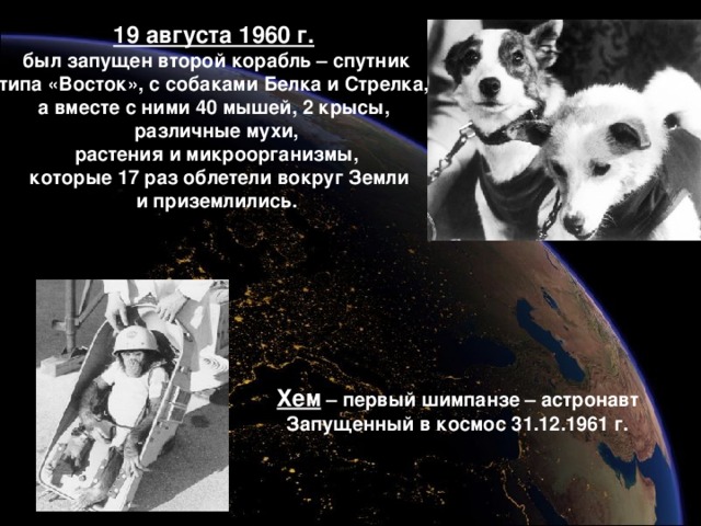 19 августа 1960 г.  был запущен второй корабль – спутник типа «Восток», с собаками Белка и Стрелка, а вместе с ними 40 мышей, 2 крысы, различные мухи, растения и микроорганизмы,  которые 17 раз облетели вокруг Земли  и приземлились.  Хем – первый шимпанзе – астронавт Запущенный в космос 31.12.1961 г. 