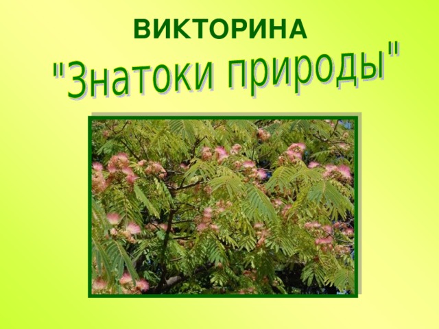 ВИКТОРИНА 