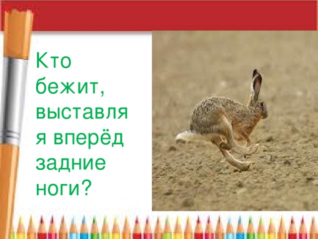Кто бежит, выставляя вперёд задние ноги? 