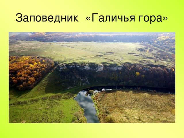Заповедник «Галичья гора» 