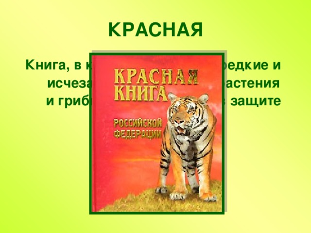 КРАСНАЯ Книга, в которую занесены редкие и исчезающие животные, растения и грибы, нуждающиеся в защите и охране.  