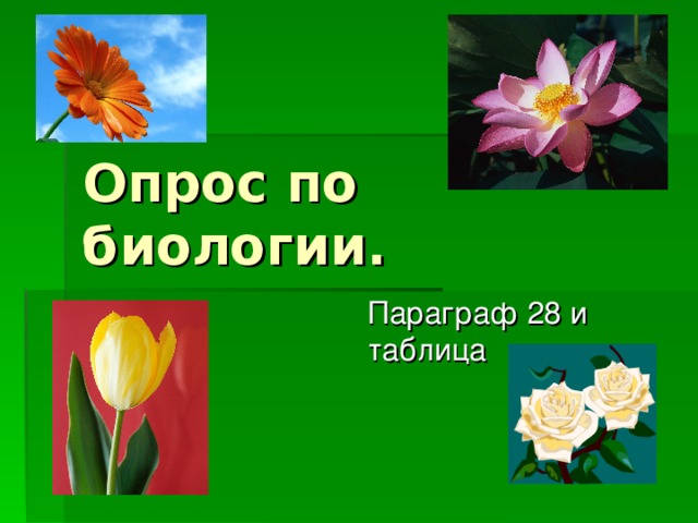 Опрос по биологии. 