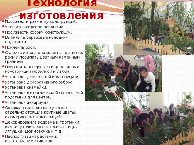 Технология изготовления Произвести разметку конструкций; Уложить ковровое покрытие; Произвести сборку конструкций; Выпилить берёзовые колодки-подставки; Поклеить обои; Склеить из картона макеты тропинки, реки и посыпать цветным каменным гравием; Покрасить поверхности деревянных конструкций морилкой и лаком; Установка деревянной композиции; Установка декоративного забора; Установка скамейки; Установка металлической потолочной подставки для цветов; Установка аквариума; Оформление зеленого уголка: отдельно стоящие крупные цветы, формирование композиций; Декорирование водоема и тропинки: камни, уточки, лотос, ёжик, птицы, лягушка, Дюймовочка и т.д. Паспортизация растений, изготовление этикеток. 