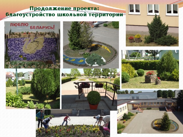 Продолжение проекта: благоустройство школьной территории 
