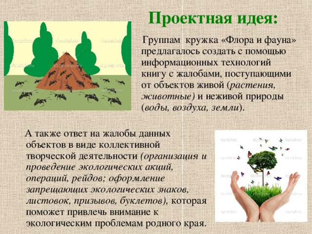 Проектная идея:  Группам кружка «Флора и фауна» предлагалось создать с помощью информационных технологий книгу с жалобами, поступающими от объектов живой ( растения, животные) и неживой природы ( воды, воздуха, земли ).  А также ответ на жалобы данных объектов в виде коллективной творческой деятельности (организация и проведение экологических акций, операций, рейдов; оформление запрещающих экологических знаков, листовок, призывов, буклетов), которая поможет привлечь внимание к экологическим проблемам родного края. 