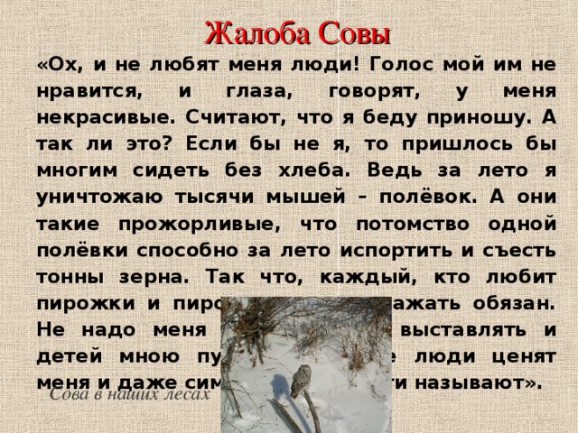 Жалоба Совы «Ох, и не любят меня люди! Голос мой им не нравится, и глаза, говорят, у меня некрасивые. Считают, что я беду приношу. А так ли это? Если бы не я, то пришлось бы многим сидеть без хлеба. Ведь за лето я уничтожаю тысячи мышей – полёвок. А они такие прожорливые, что потомство одной полёвки способно за лето испортить и съесть тонны зерна. Так что, каждый, кто любит пирожки и пирожные меня уважать обязан. Не надо меня страшилищем выставлять и детей мною пугать. А умные люди ценят меня и даже символом мудрости называют». Сова в наших лесах 