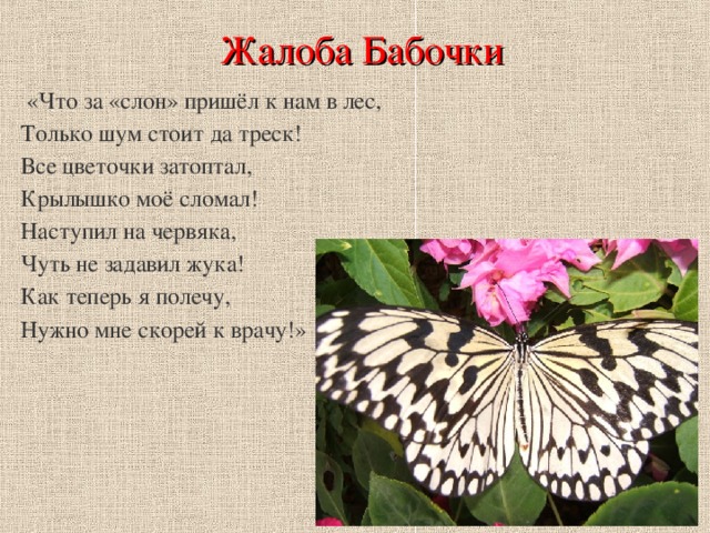 Жалоба Бабочки  «Что за «слон» пришёл к нам в лес,  Только шум стоит да треск!  Все цветочки затоптал,  Крылышко моё сломал!  Наступил на червяка,  Чуть не задавил жука!  Как теперь я полечу,  Нужно мне скорей к врачу!» 
