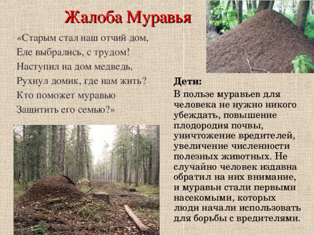 Жалоба Муравья «Старым стал наш отчий дом,  Еле выбрались, с трудом!  Наступил на дом медведь,  Рухнул домик, где нам жить?  Кто поможет муравью  Защитить его семью?» Дети: В пользе муравьев для человека не нужно никого убеждать, повышение плодородия почвы, уничтожение вредителей, увеличение численности полезных животных. Не случайно человек издавна обратил на них внимание, и муравьи стали первыми насекомыми, которых люди начали использовать для борьбы с вредителями. 