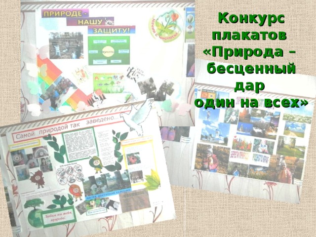 Конкурс плакатов «Природа – бесценный дар один на всех» 