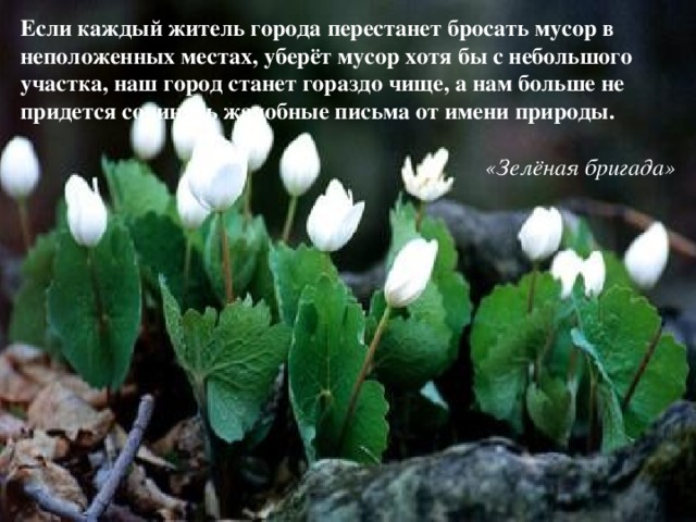 Если каждый житель города перестанет бросать мусор в неположенных местах, уберёт мусор хотя бы с небольшого участка, наш город станет гораздо чище, а нам больше не придется сочинять жалобные письма от имени природы.  «Зелёная бригада» 