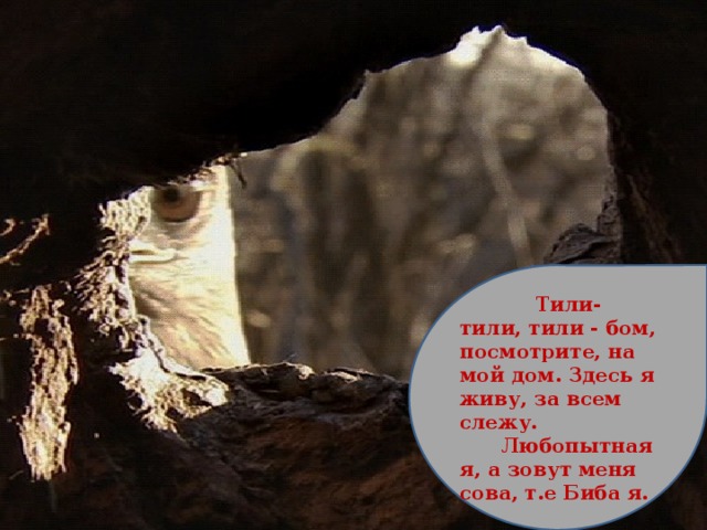  Тили-тили, тили - бом, посмотрите, на мой дом. Здесь я живу, за всем слежу.  Любопытная я, а зовут меня сова, т.е Биба я. 
