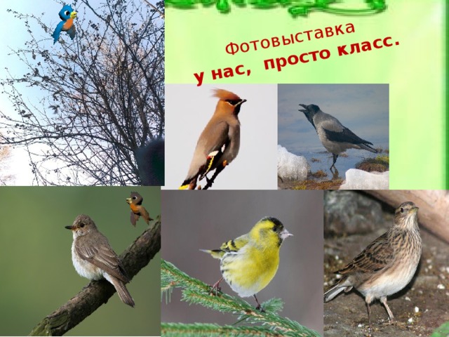 Фотовыставка  у нас, просто класс. 