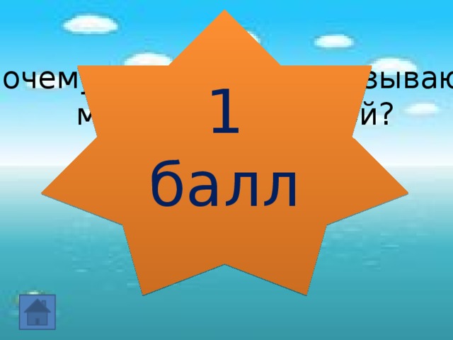 1 балл Почему нашу Родину называют морской державой?