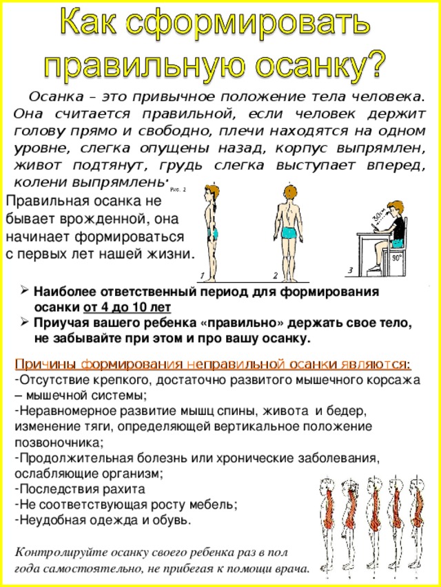  Осанка – это привычное положение тела человека. Она считается правильной, если человек держит голову прямо и свободно, плечи находятся на одном уровне, слегка опущены назад, корпус выпрямлен, живот подтянут, грудь слегка выступает вперед, колени выпрямлены.  Наиболее ответственный период для формирования  осанки от 4 до 10 лет  Приучая вашего ребенка «правильно» держать свое тело,  не забывайте при этом и про вашу осанку. Причины формирования неправильной осанки являются: Отсутствие крепкого, достаточно развитого мышечного корсажа – мышечной системы; Неравномерное развитие мышц спины, живота и бедер, изменение тяги, определяющей вертикальное положение позвоночника; Продолжительная болезнь или хронические заболевания, ослабляющие организм; Последствия рахита Не соответствующая росту мебель; Неудобная одежда и обувь. Контролируйте осанку своего ребенка раз в пол года самостоятельно, не прибегая к помощи врача. 