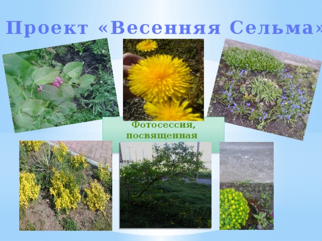 Проект «Весенняя Сельма» Фотосессия, посвященная Дню Земли.  