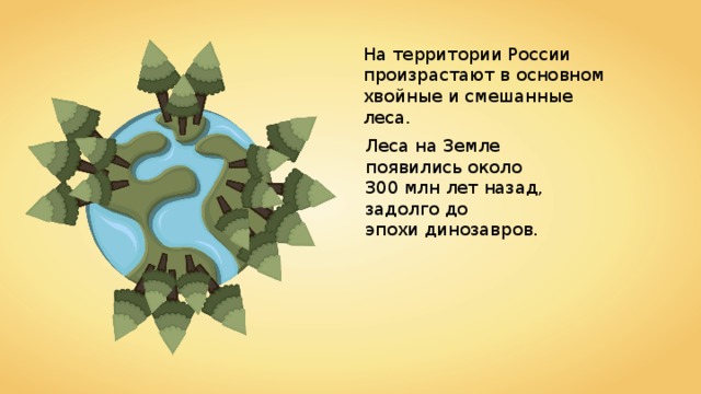 На территории России произрастают в основном хвойные и смешанные леса. Леса на Земле появились около 300 млн лет назад, задолго до эпохи динозавров. 