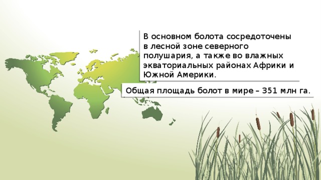 В основном болота сосредоточены в лесной зоне северного полушария, а также во влажных экваториальных районах Африки и Южной Америки. Общая площадь болот в мире – 351 млн га. 