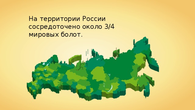 На территории России сосредоточено около 3/4 мировых болот. 