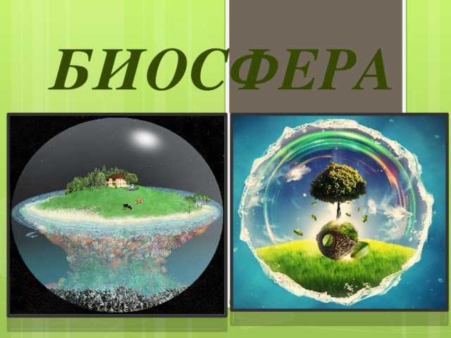 Биосфера     