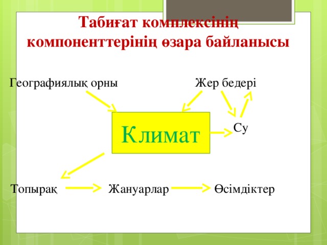 Табиғат комплексінің компоненттерінің өзара байланысы Географиялық орны Жер бедері Климат Су Топырақ  Жануарлар Өсімдіктер 