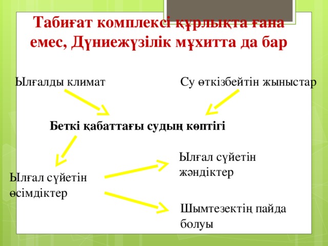 Табиғат комплексі құрлықта ғана емес, Дүниежүзілік мұхитта да бар Ылғалды климат Су өткізбейтін жыныстар Беткі қабаттағы судың көптігі Ылғал сүйетін жәндіктер Ылғал сүйетін өсімдіктер Шымтезектің пайда болуы 