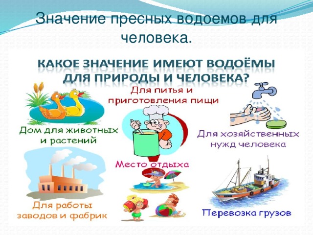 Значение пресных водоемов для человека. 