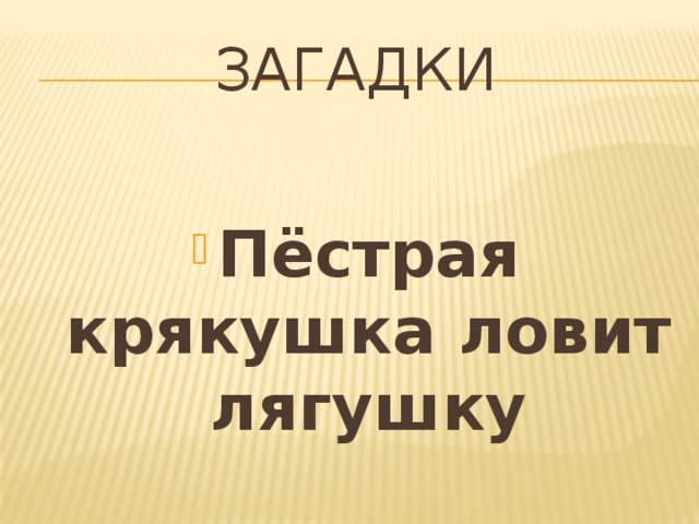 загадки Пёстрая крякушка ловит лягушку 