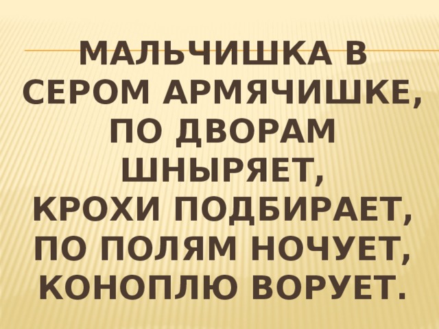 Мальчишка в сером армячишке,  по дворам шныряет,  крохи подбирает,  по полям ночует,  коноплю ворует. 