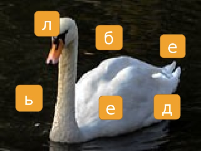 л б е ь д е 