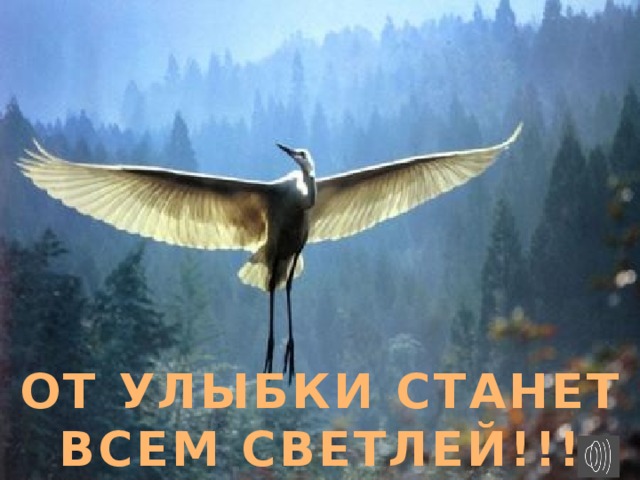 ОТ УЛЫБКИ СТАНЕТ ВСЕМ СВЕТЛЕЙ!!! 