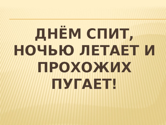 Днём спит, ночью летает и прохожих пугает! 