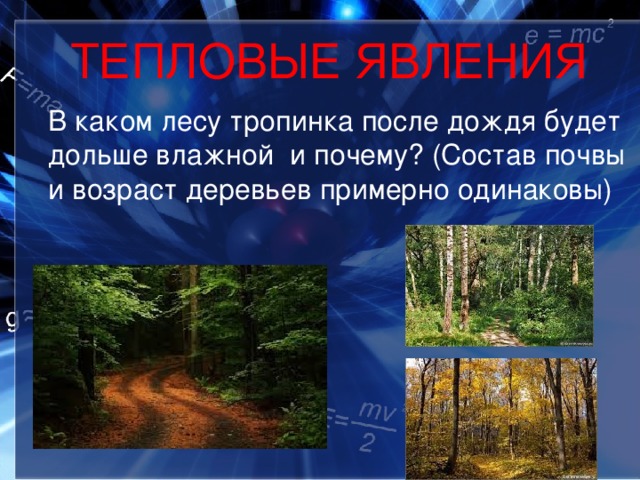 ТЕПЛОВЫЕ ЯВЛЕНИЯ  В каком лесу тропинка после дождя будет дольше влажной и почему? (Состав почвы и возраст деревьев примерно одинаковы) 