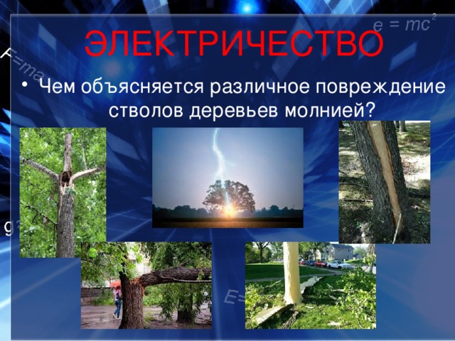 ЭЛЕКТРИЧЕСТВО Чем объясняется различное повреждение стволов деревьев молнией? 