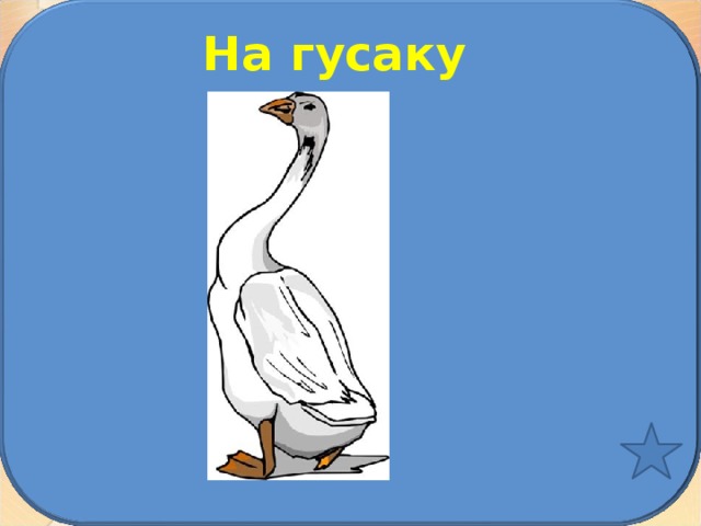 На гусаку 