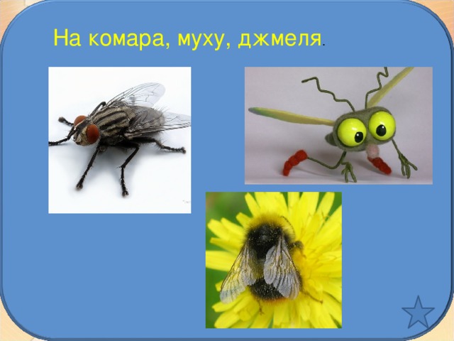 На комара, муху, джмеля . 