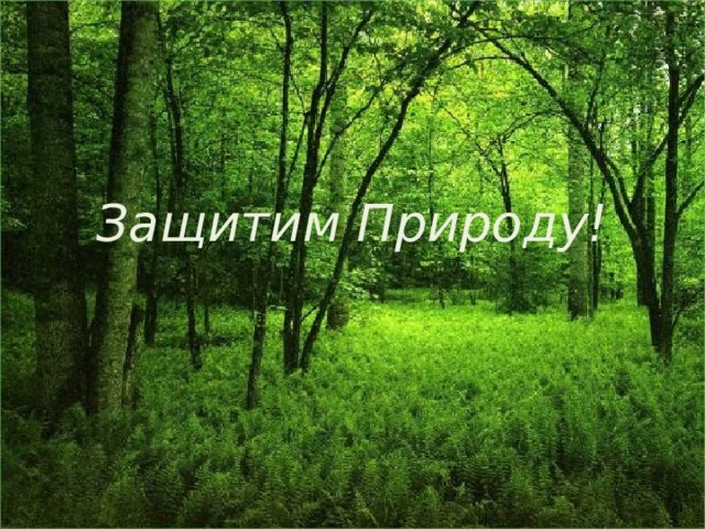 Защитим Природу! 