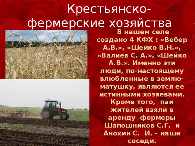  Крестьянско-фермерские хозяйства  В нашем селе создано 4 КФХ : «Вебер А.В.», «Шейко В.Н.», «Валиев С. А.», «Шейко А.В.». Именно эти люди, по-настоящему влюбленные в землю-матушку, являются ее истинными хозяевами. Кроме того, паи жителей взяли в аренду фермеры Шапошников С.Г. и Анохин С. И. – наши соседи. 
