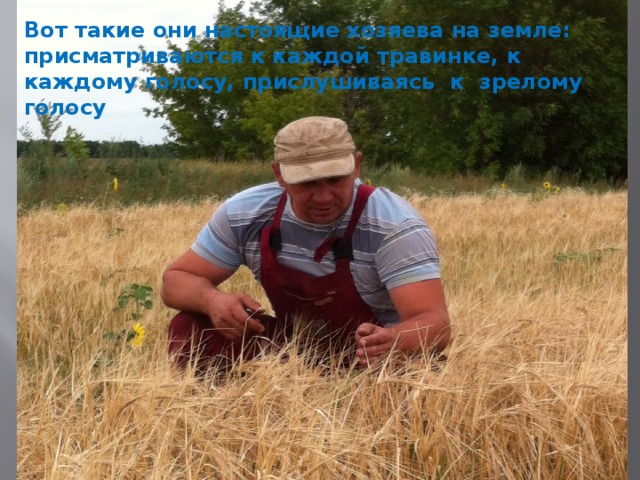 Вот такие они настоящие хозяева на земле: присматриваются к каждой травинке, к каждому голосу, прислушиваясь к зрелому голосу 