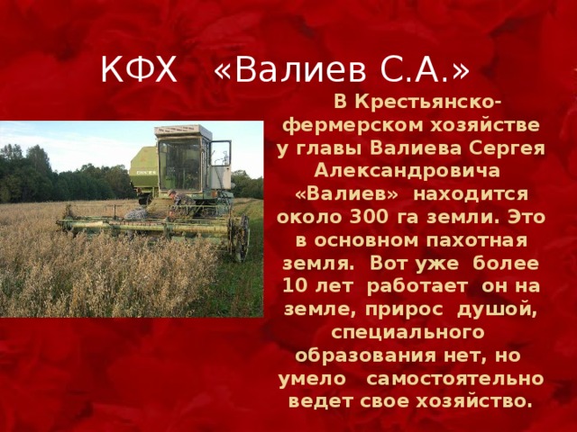  КФХ «Валиев С.А.»  В Крестьянско-фермерском хозяйстве у главы Валиева Сергея Александровича «Валиев» находится около 300 га земли. Это в основном пахотная земля. Вот уже более 10 лет работает он на земле, прирос душой, специального образования нет, но умело самостоятельно ведет свое хозяйство. 