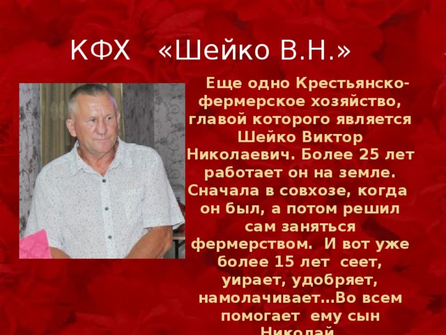  КФХ «Шейко В.Н.»  Еще одно Крестьянско-фермерское хозяйство, главой которого является Шейко Виктор Николаевич. Более 25 лет работает он на земле. Сначала в совхозе, когда он был, а потом решил сам заняться фермерством. И вот уже более 15 лет сеет, уирает, удобряет, намолачивает…Во всем помогает ему сын Николай. 
